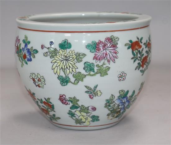 A Chinese famille rose goldfish bowl height 13.5cm